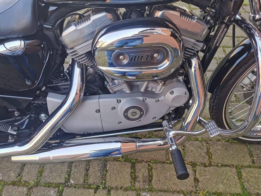 Harley-Davidson 883 Custom (2008 - 12) - XL 883C (10)