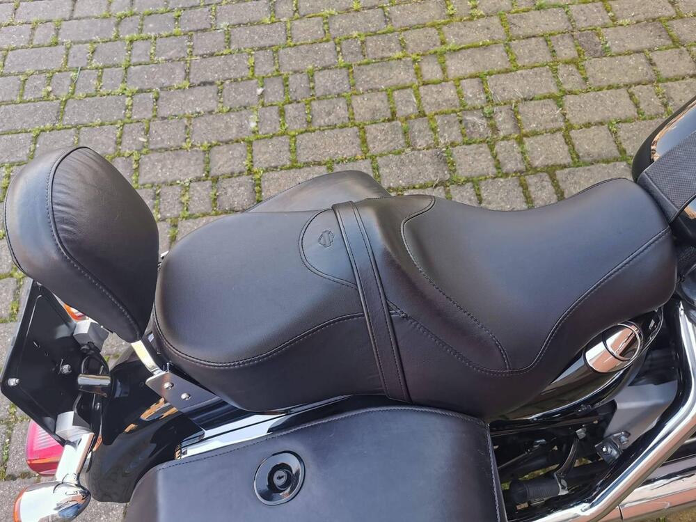 Harley-Davidson 883 Custom (2008 - 12) - XL 883C (11)