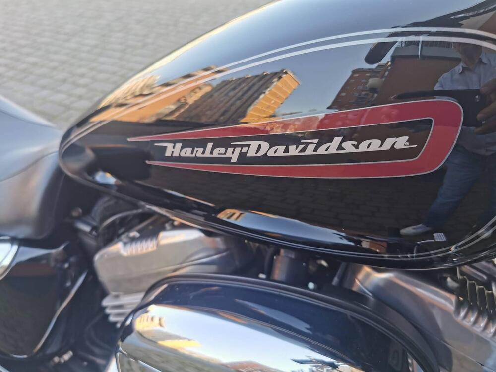 Harley-Davidson 883 Custom (2008 - 12) - XL 883C (12)