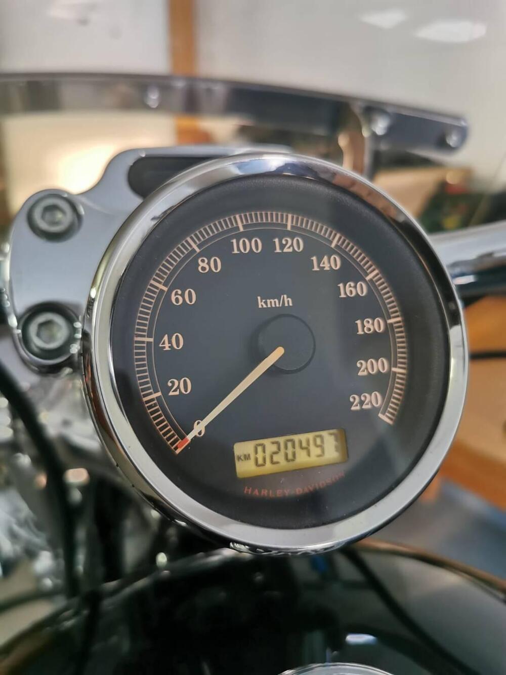 Harley-Davidson 883 Custom (2008 - 12) - XL 883C (7)