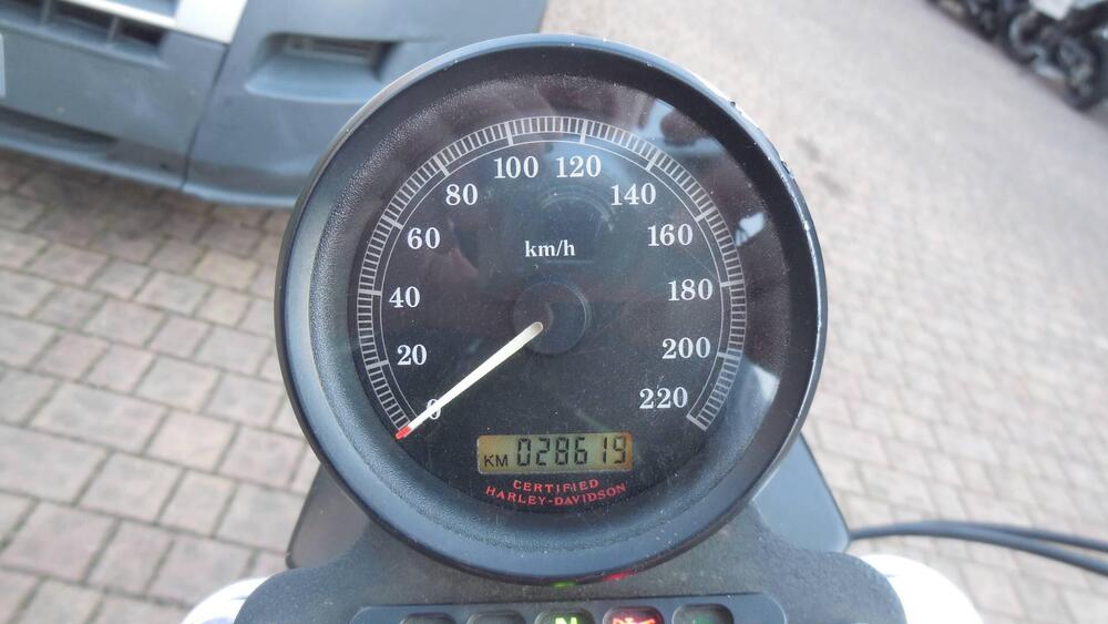 Harley-Davidson 883 R (2004 - 05) - XL 883R (4)