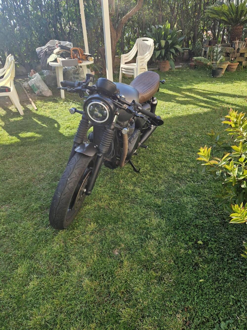 Triumph Street Twin 900 (2019 - 20) (4)