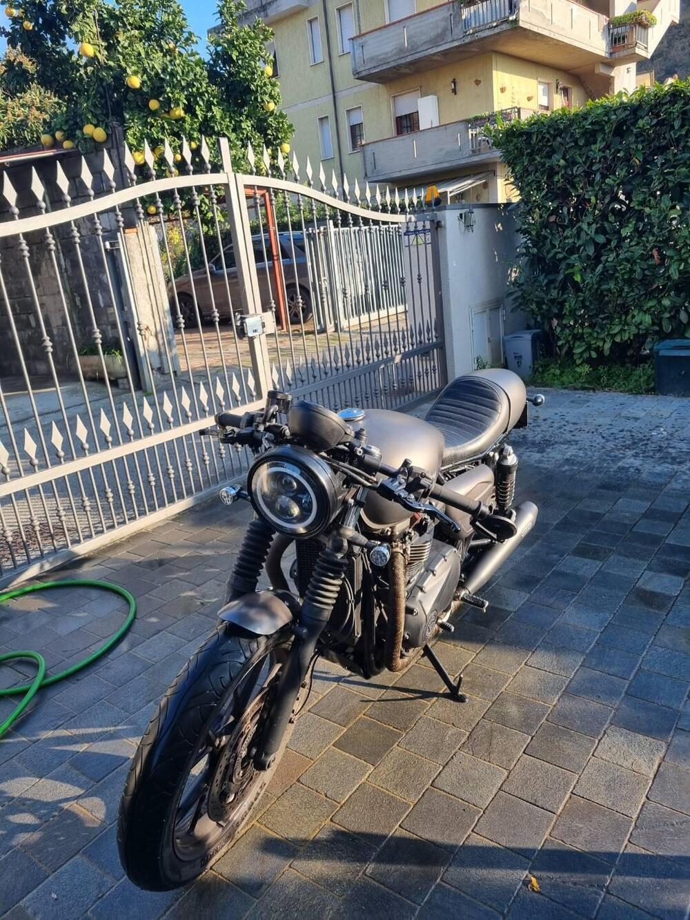 Triumph Street Twin 900 (2019 - 20) (14)