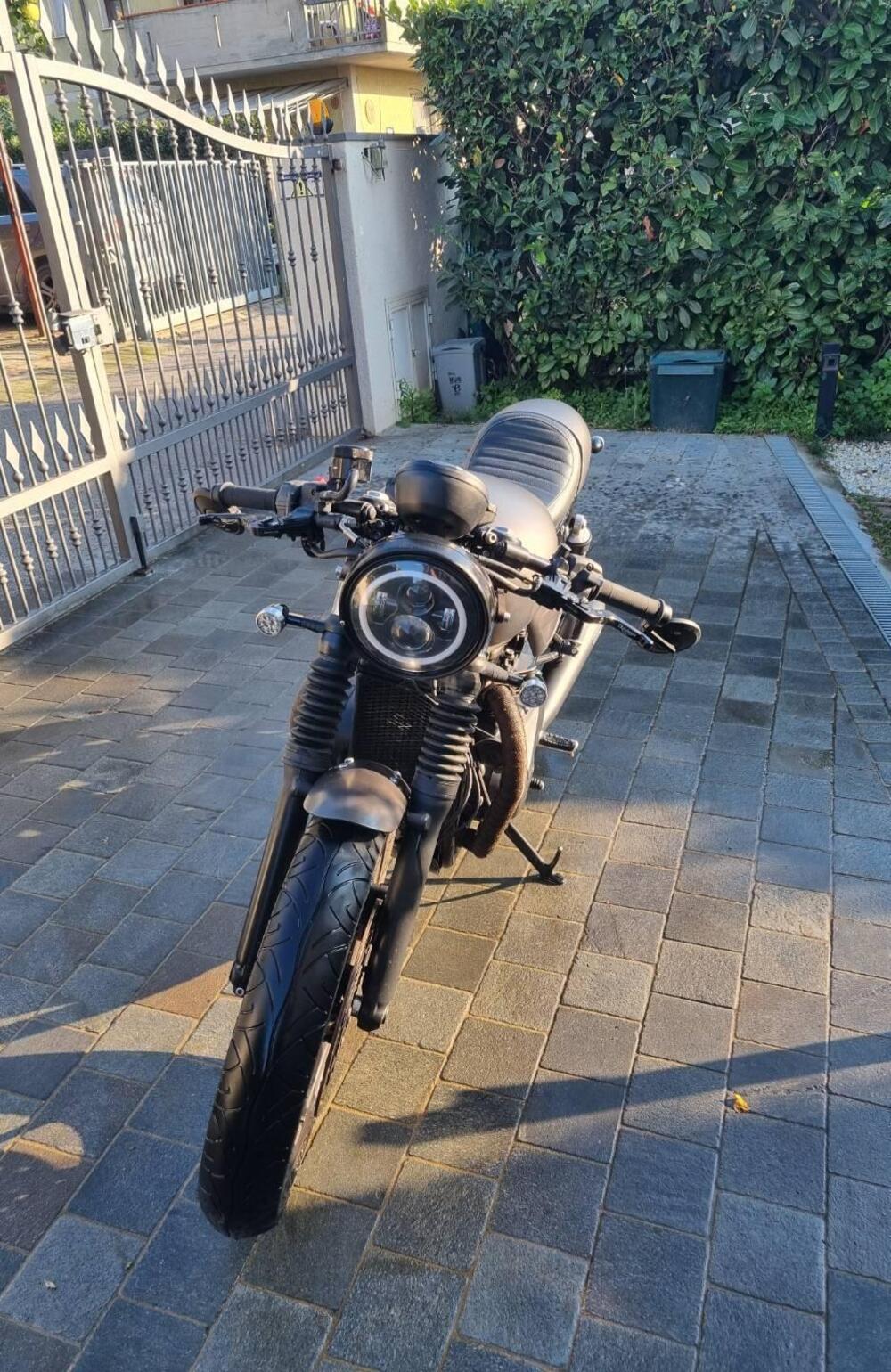 Triumph Street Twin 900 (2019 - 20) (17)