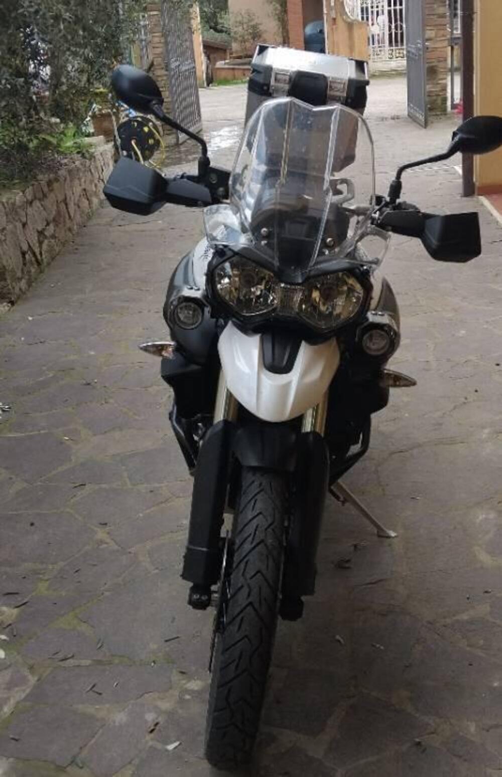 Triumph Tiger 800 XC (2011 - 12) (2)