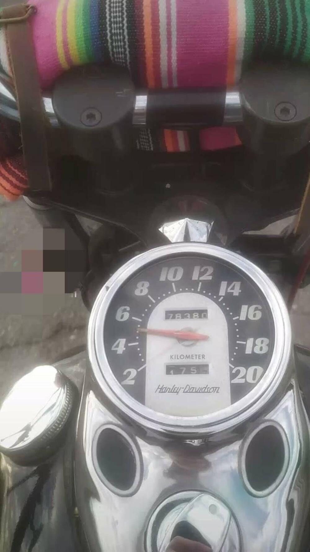 Harley-Davidson Shovelhead  (3)