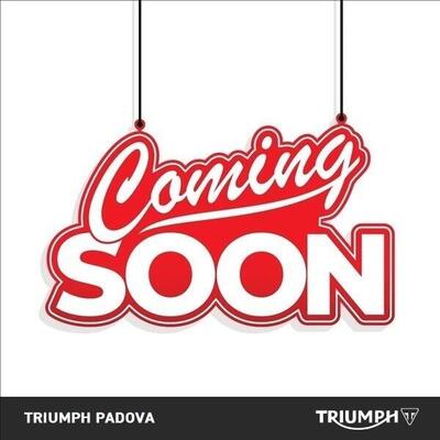 Triumph Tiger 900 GT Pro (2020 - 23) usata