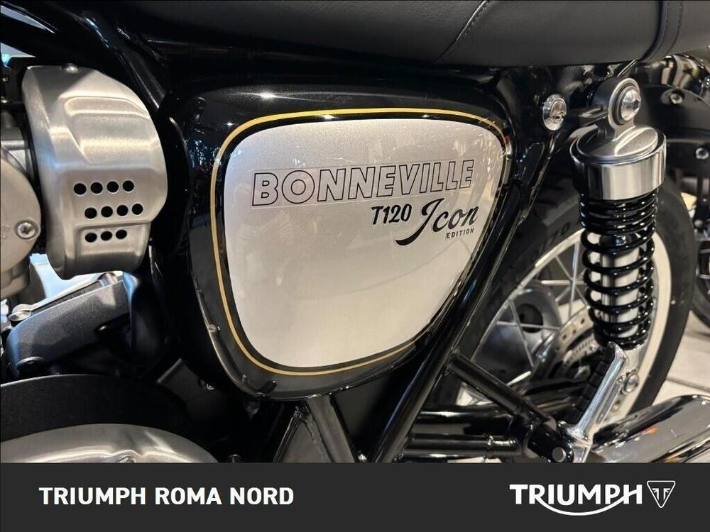 Triumph Bonneville T120 Icon Edition (2025 - 26) (5)