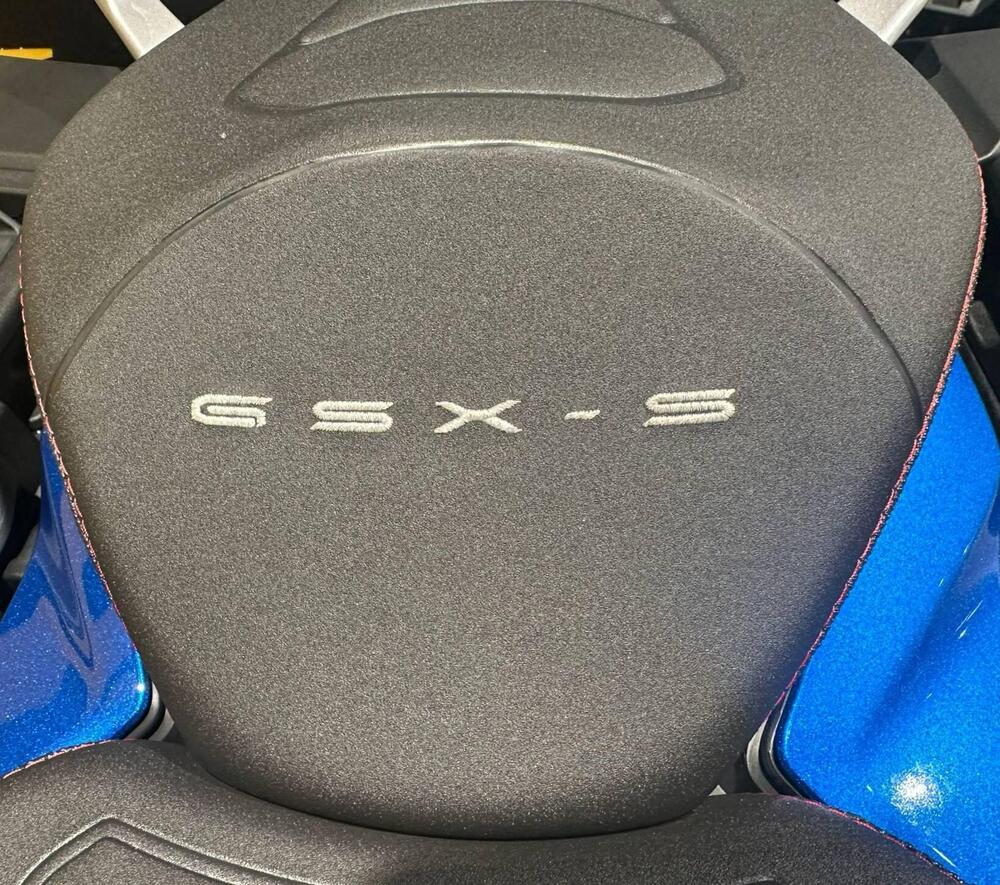 Suzuki GSX-S1000GX Touring (2024 - 26) (7)