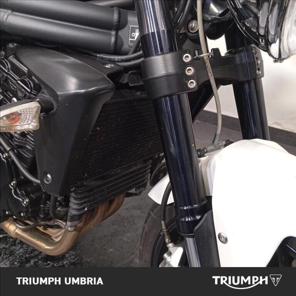 Triumph Speed Triple 1050 (2005 - 11) (13)
