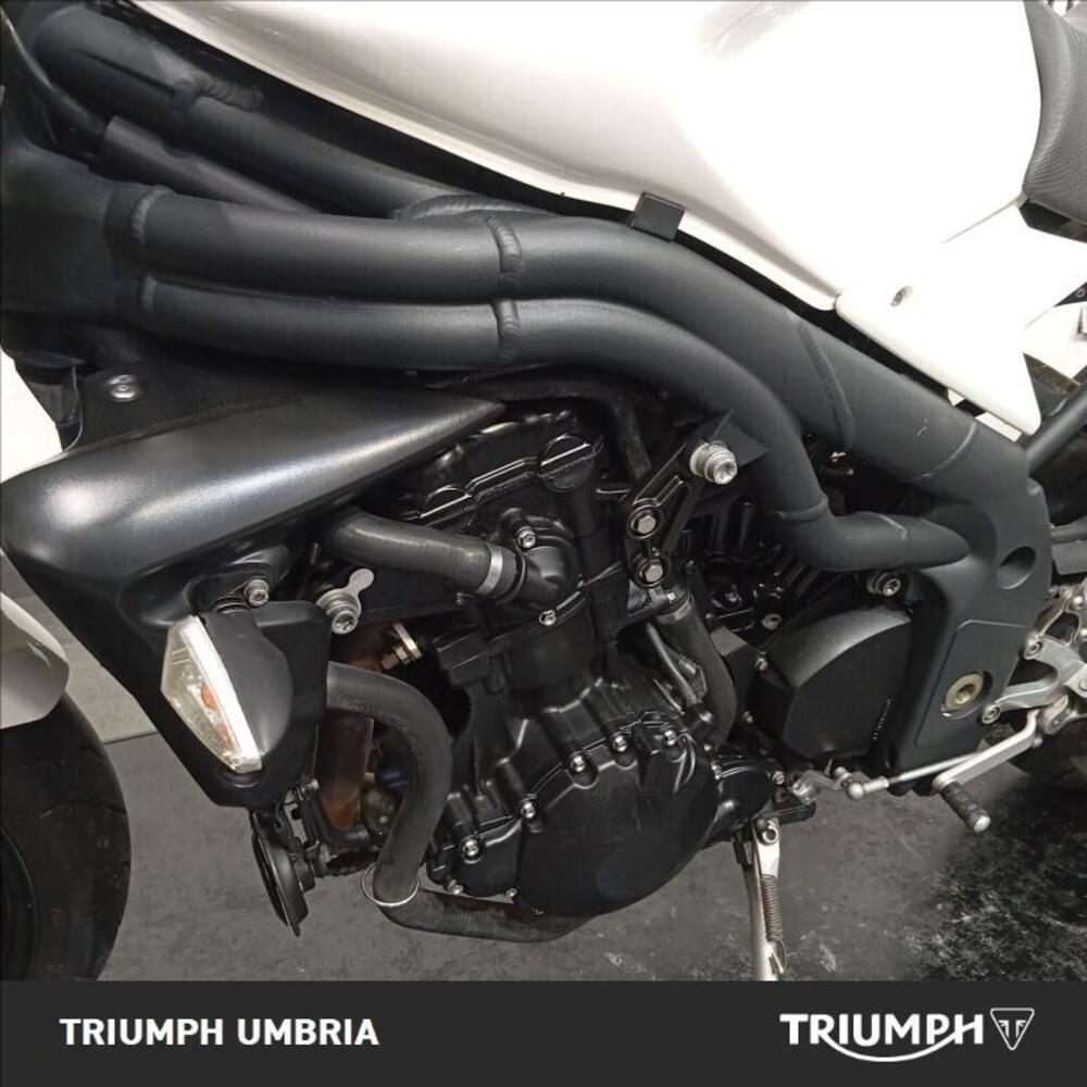 Triumph Speed Triple 1050 (2005 - 11) (5)