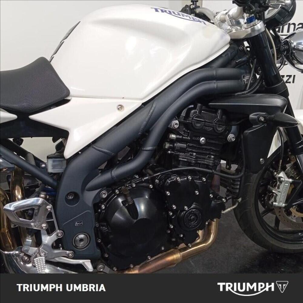 Triumph Speed Triple 1050 (2005 - 11) (9)