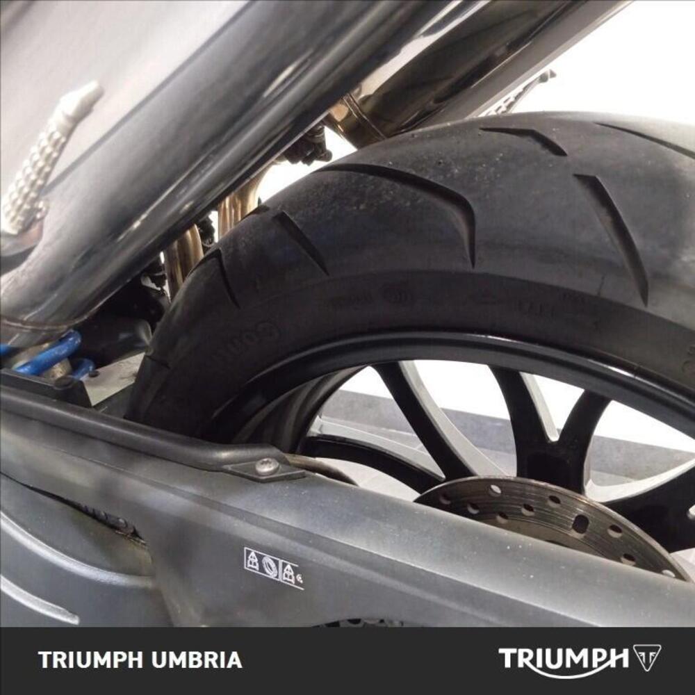 Triumph Speed Triple 1050 (2005 - 11) (3)