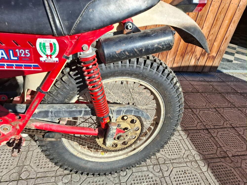 Fantic Motor trial (2)