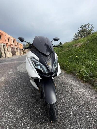 Wottan Motor Storm-S 300 (2020 - 25) usata