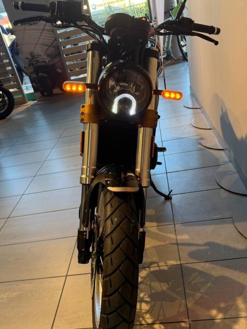 Benelli Leoncino 500 (2021 - 25) (7)