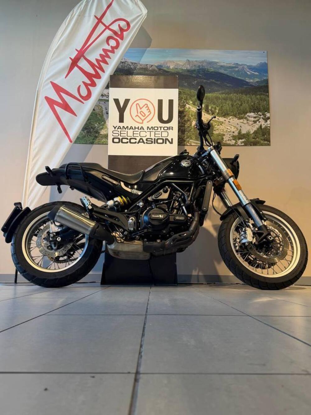 Benelli Leoncino 500 (2021 - 25) (3)