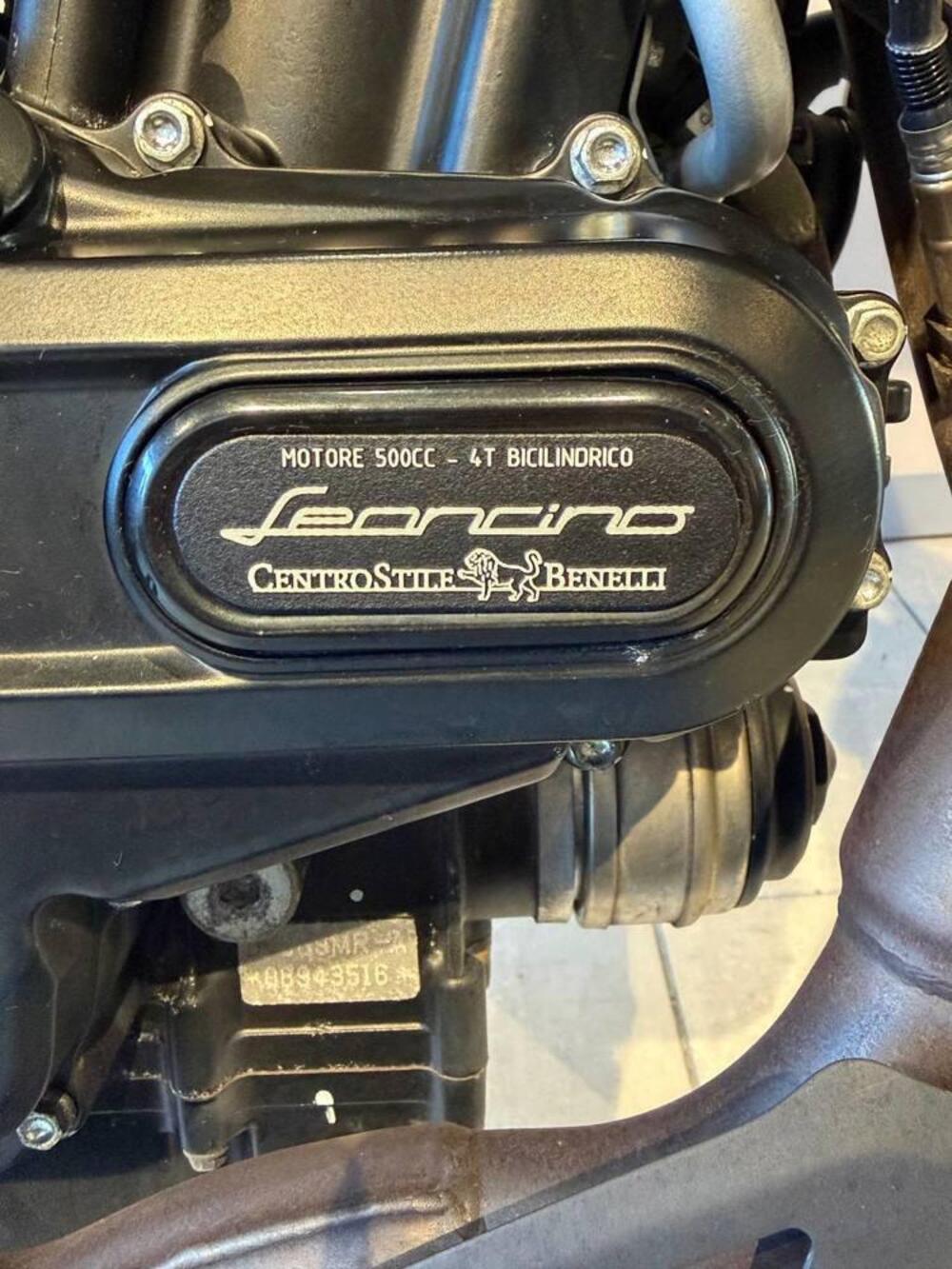 Benelli Leoncino 500 (2021 - 25) (9)