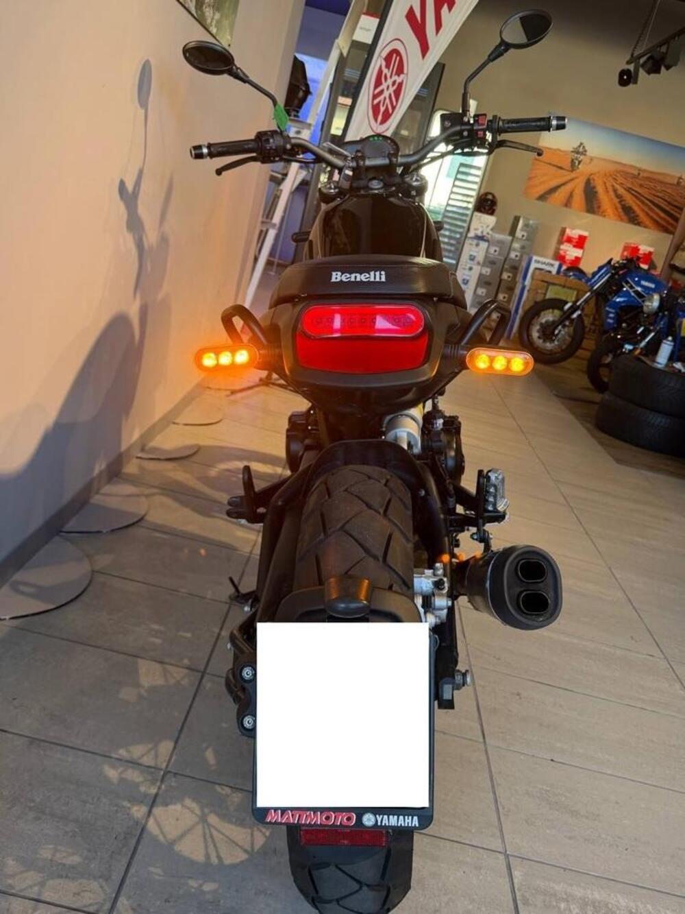Benelli Leoncino 500 (2021 - 25) (4)