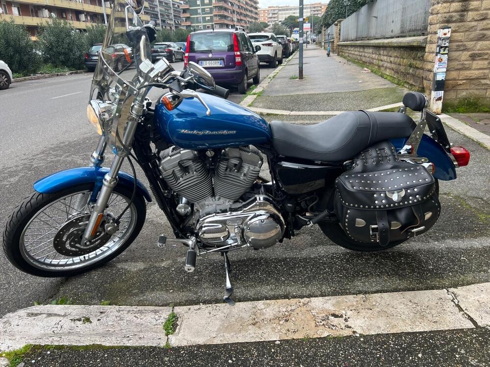 Harley-Davidson 883 Custom (2001 - 05) - XL 53C