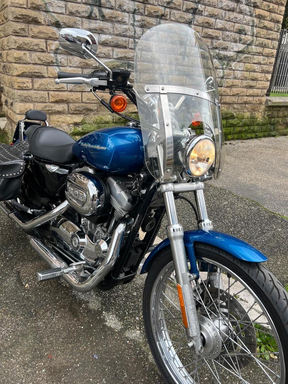 Harley-Davidson 883 Custom (2001 - 05) - XL 53C (4)