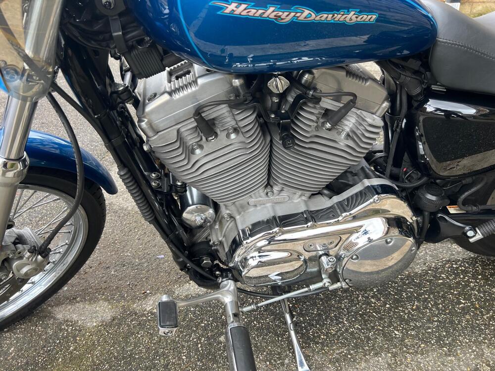 Harley-Davidson 883 Custom (2001 - 05) - XL 53C (5)