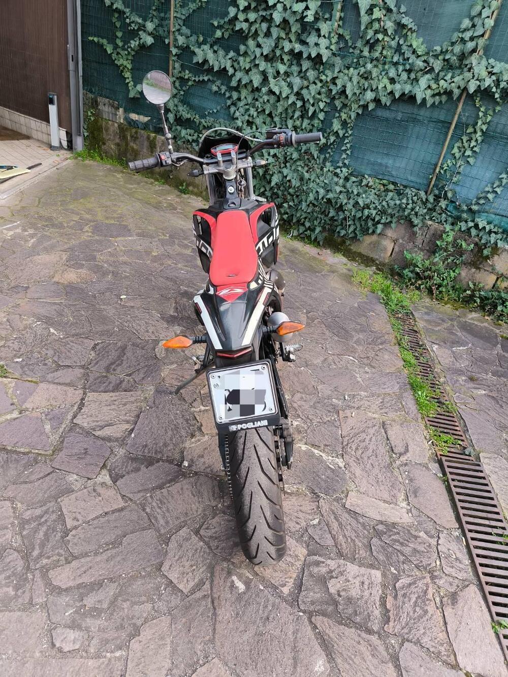 Betamotor RR 50 Motard (2021 - 26) (4)