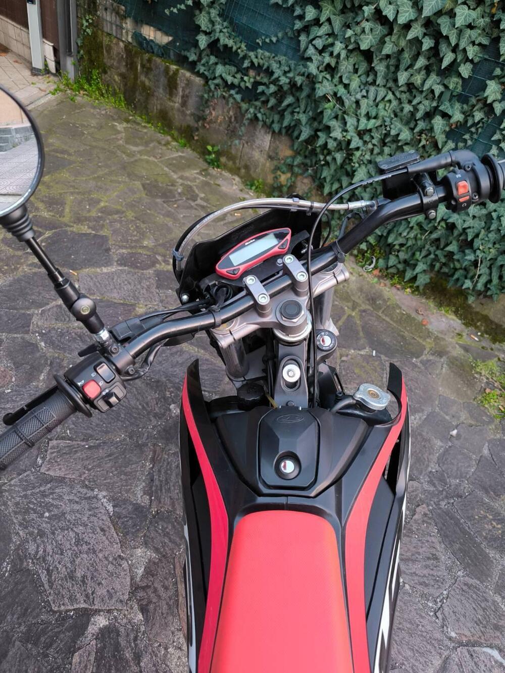 Betamotor RR 50 Motard (2021 - 26) (16)