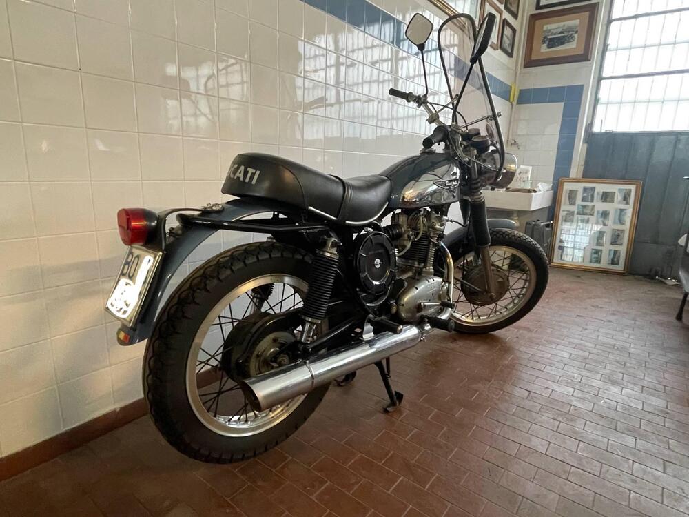 Ducati Scrambler (3)