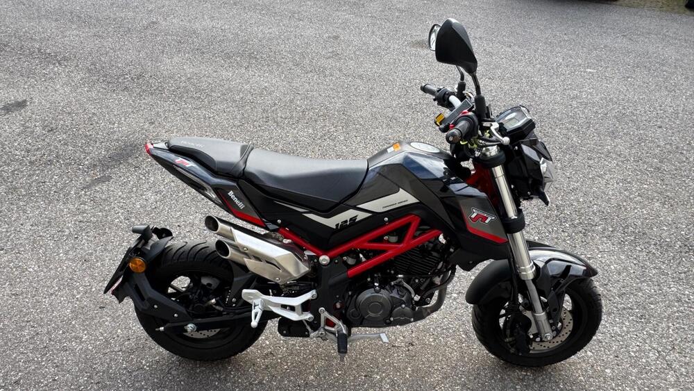 Benelli Tornado Naked T 125 (2017 - 20) (4)