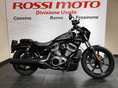Harley-Davidson Nightster (2023 - 26) usata