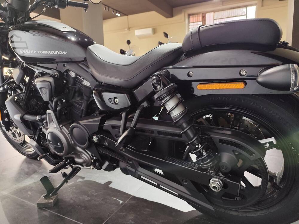 Harley-Davidson Nightster (2023 - 26) (6)