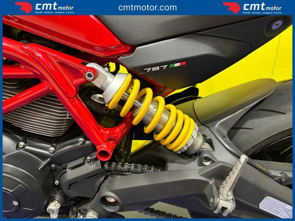 Ducati Monster 797 (2017 - 18) (11)