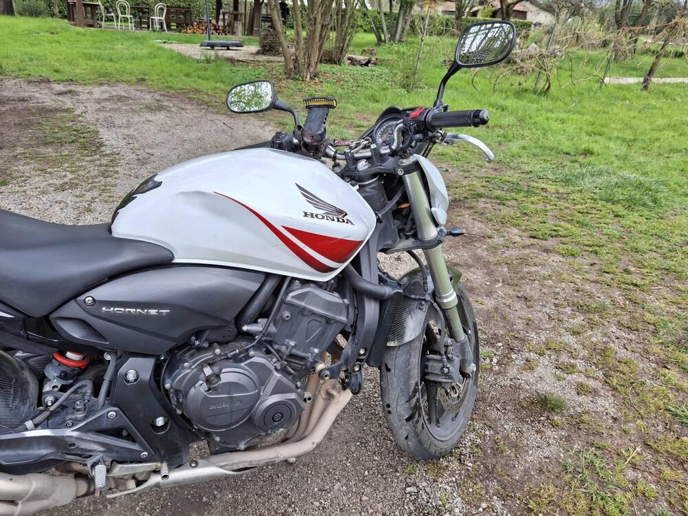 Honda Hornet 600 (2007 - 10) (3)