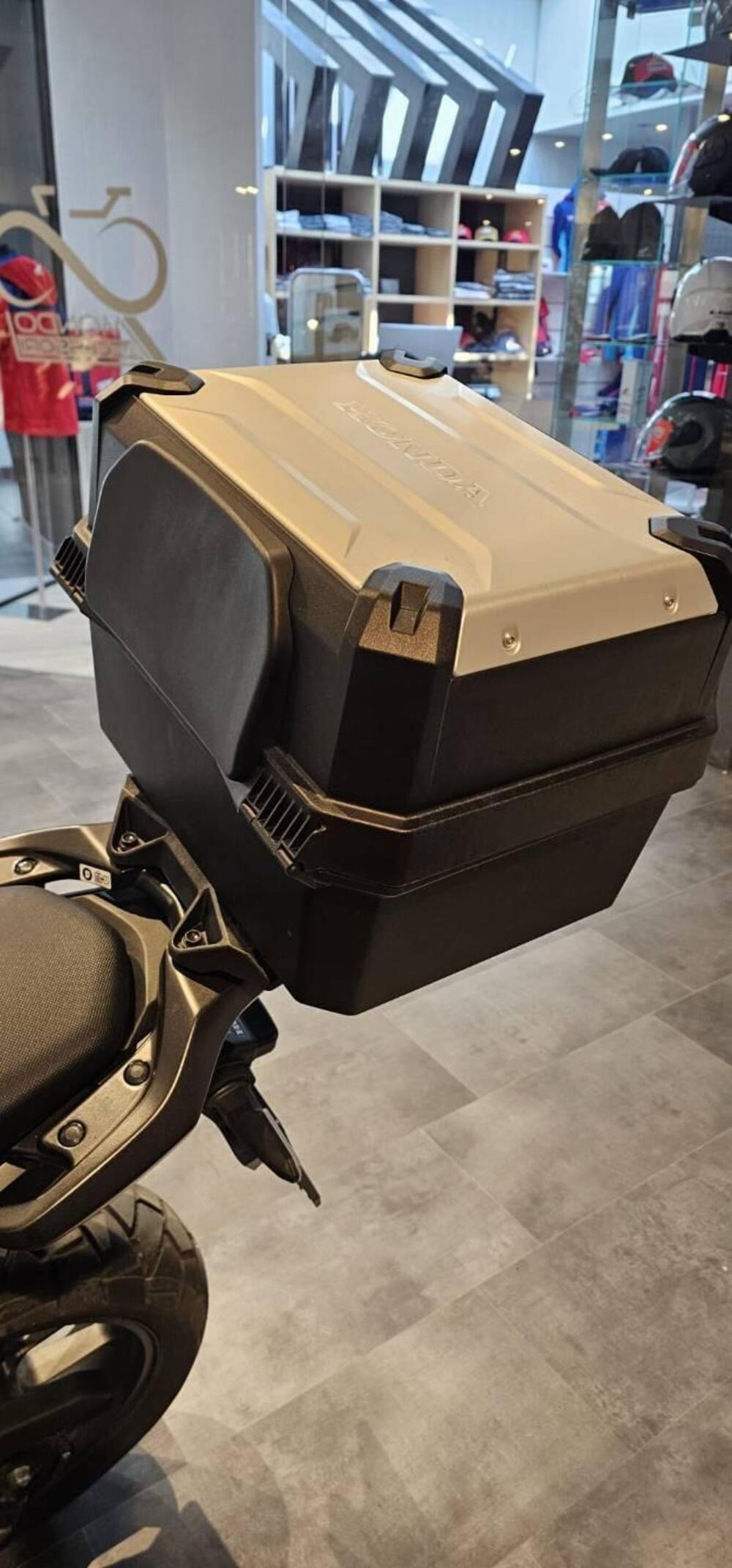 Honda NX500 (2024 - 25) (8)