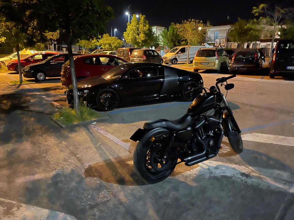 Harley-Davidson 883 (2008 - 09) - XL