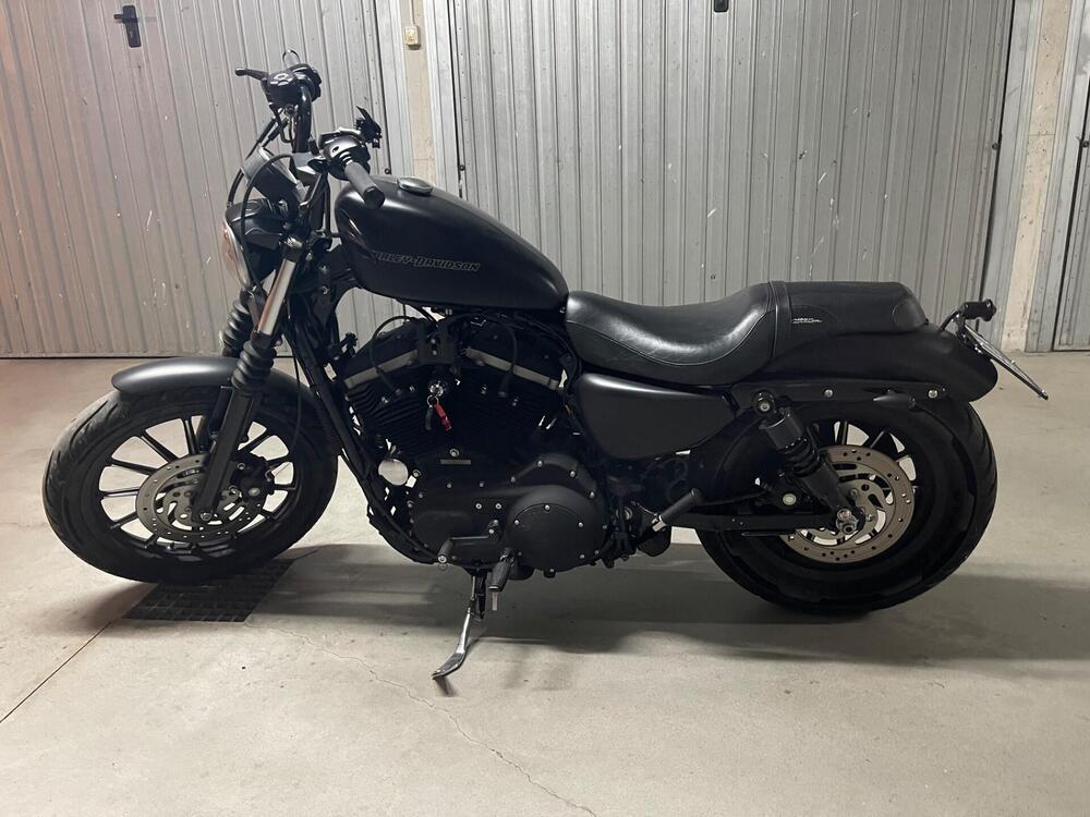 Harley-Davidson 883 (2008 - 09) - XL (2)