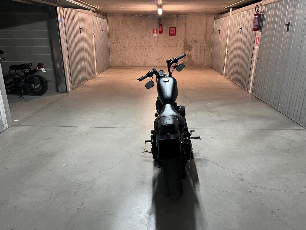 Harley-Davidson 883 (2008 - 09) - XL (3)