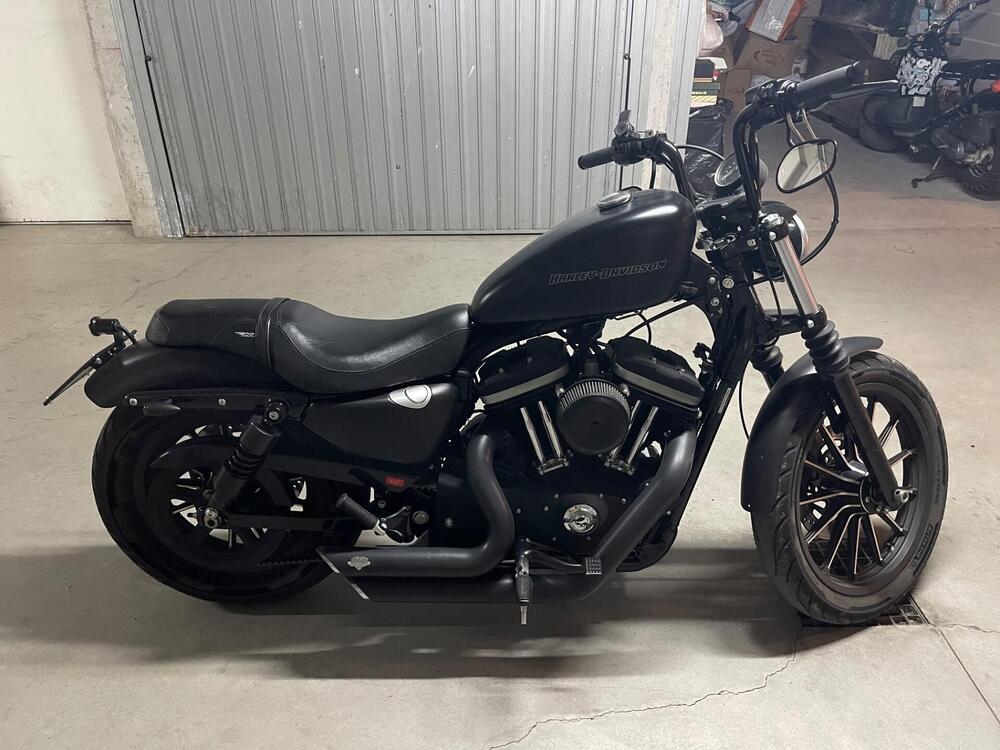 Harley-Davidson 883 (2008 - 09) - XL (4)