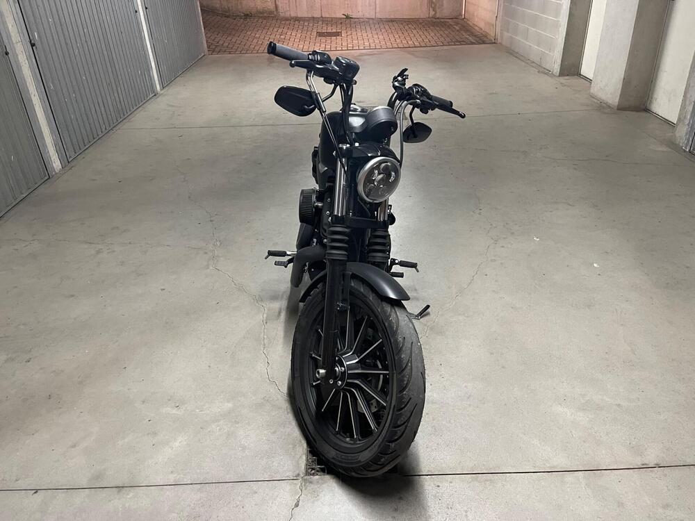 Harley-Davidson 883 (2008 - 09) - XL (5)