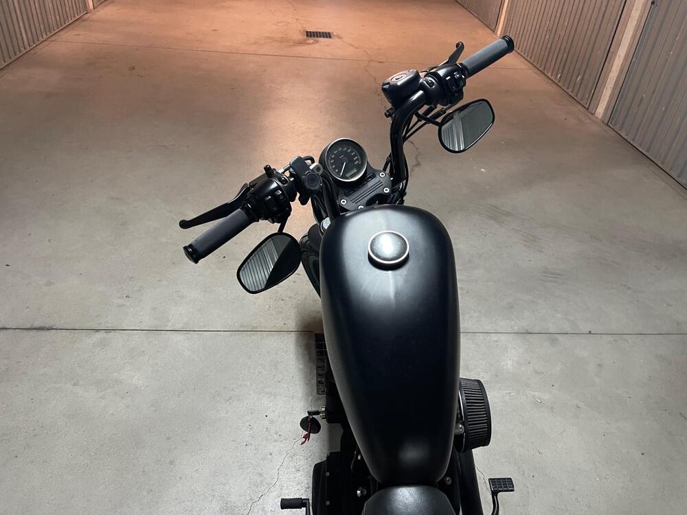 Harley-Davidson 883 (2008 - 09) - XL (6)