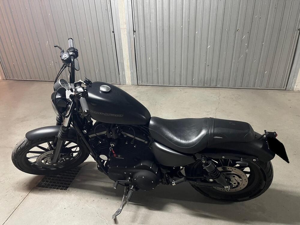 Harley-Davidson 883 (2008 - 09) - XL (7)