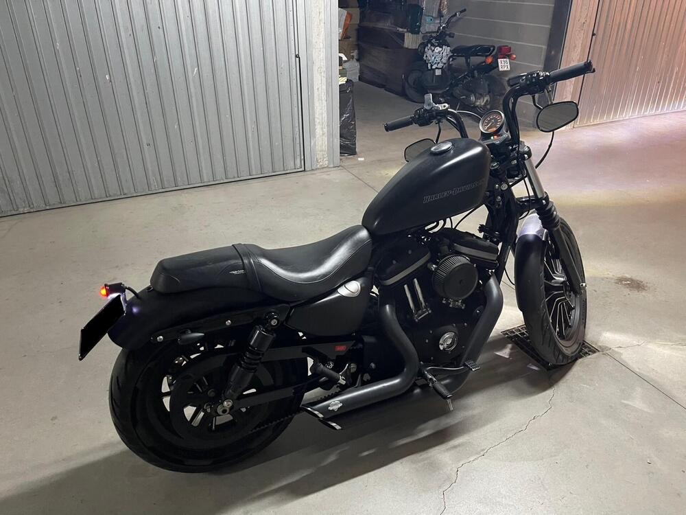 Harley-Davidson 883 (2008 - 09) - XL (8)