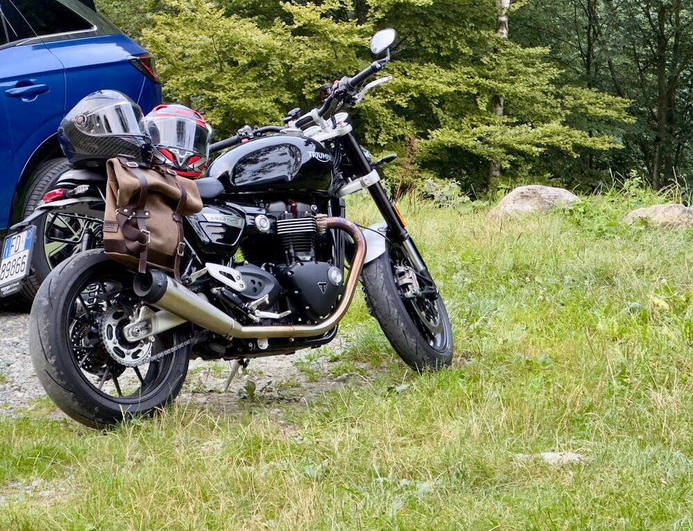 Triumph Speed Twin 1200 (2021 - 24)