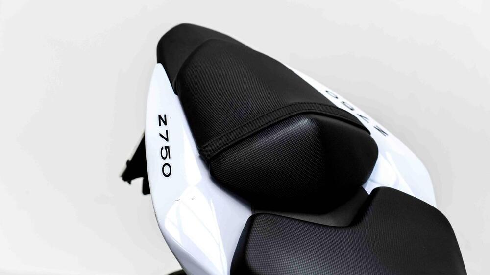 Kawasaki Z 750 (2007 - 14) (11)