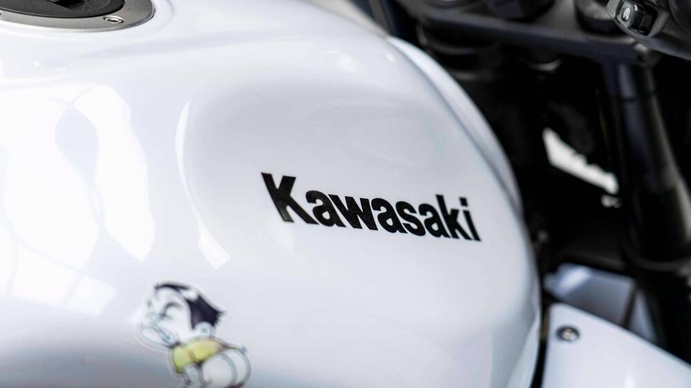 Kawasaki Z 750 (2007 - 14) (12)