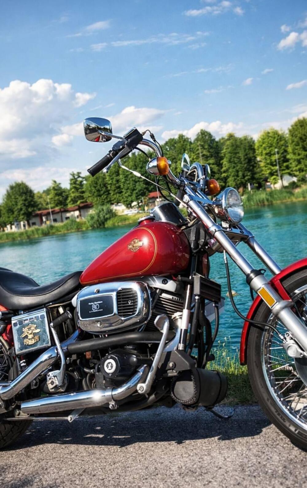 Harley-Davidson Wide Glide  (4)