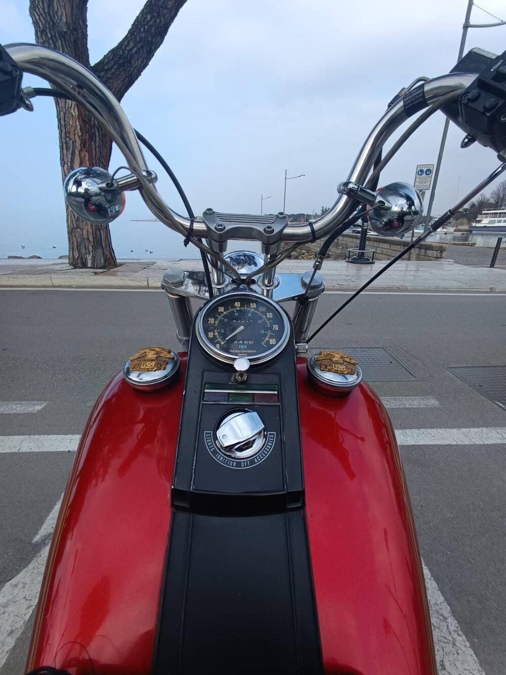 Harley-Davidson Wide Glide  (7)