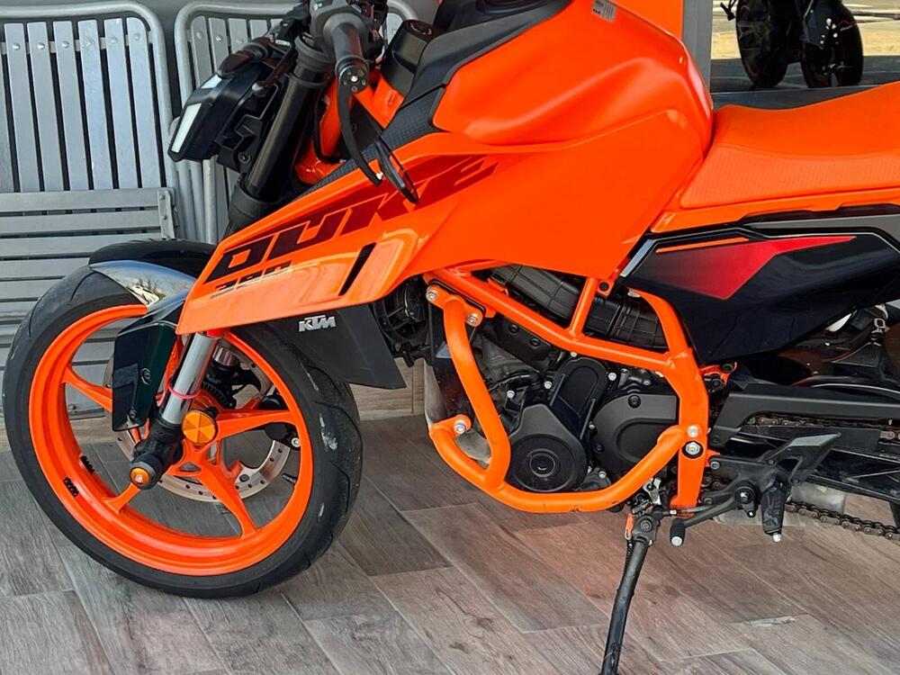KTM 390 Duke (2024 - 25) (7)