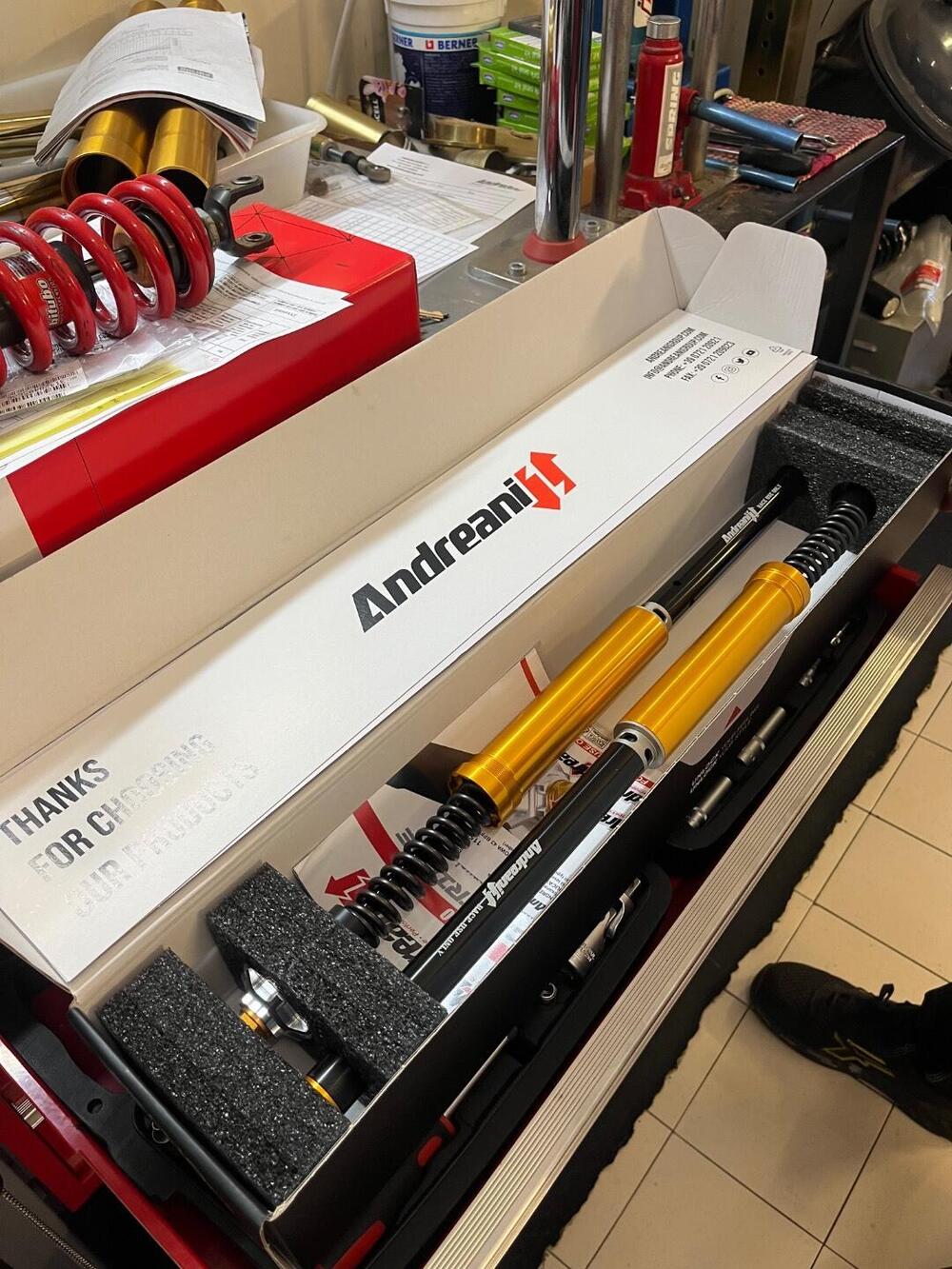 Ducati Panigale V4 (2022 - 24) (8)